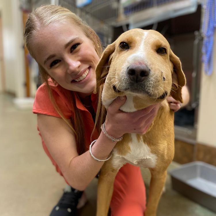 Crossroads Animal Hospital Oxford MS